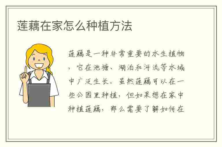 莲藕在家怎么种植方法(莲藕在家怎么种植方法(在家种莲藕的方法步骤))